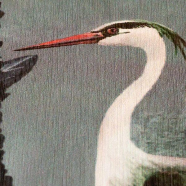 Fototapet vinil exotic egrete verde inchis